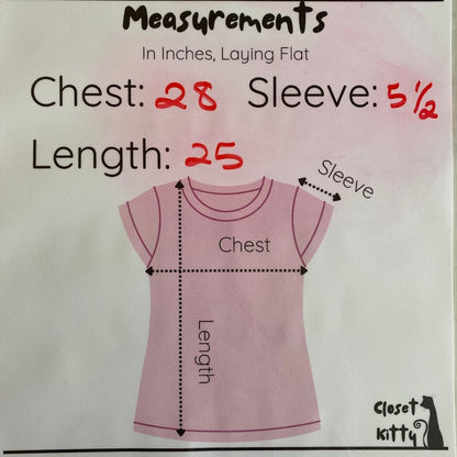 Zenana Dusty Pink V-Neck Tee Fits XS Clean Soft Girl Minimalist Basic Romantic