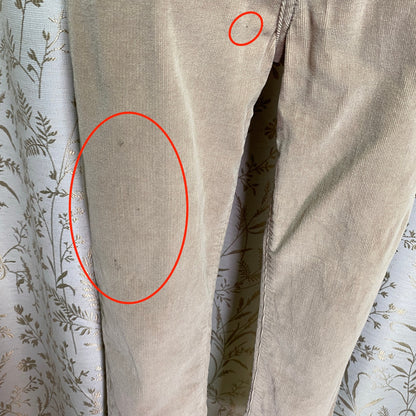 Calvin Klein Jeans Corduroy Straight Leg Pants Sz 4 Beige Tan Low Rise Stretch